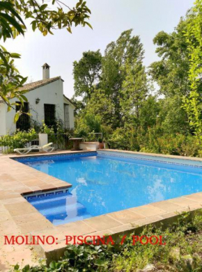 Molino Maroto & Patio del molino
